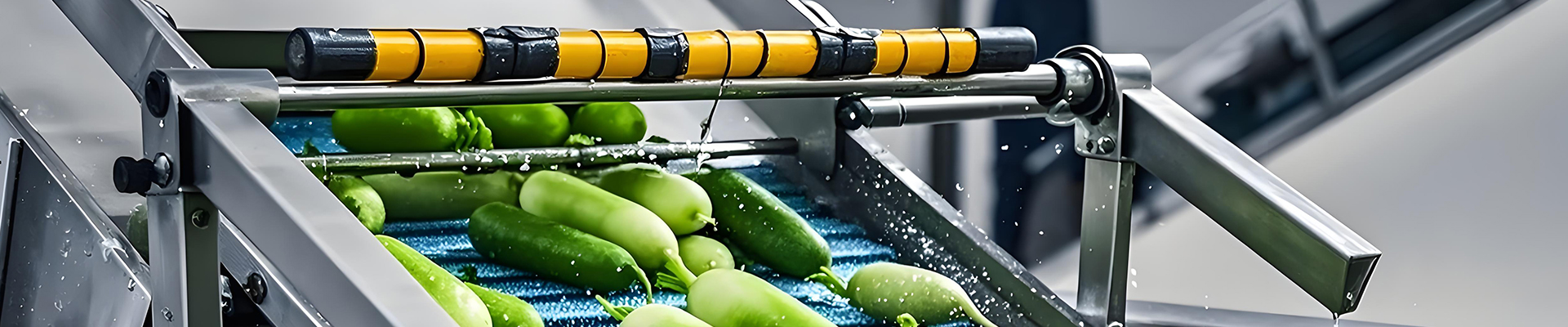 commercial vegetable processing equipment