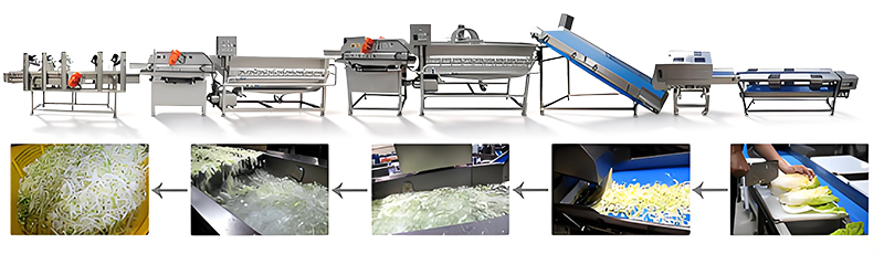 Vegetable Processing Equipment