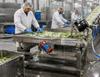 Industrial Stainless Steel Linear Vibrating Dewater Screen For Food Processing