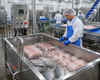 Industrial Thawing Tank Meat Seafood Fast Defrost Processing System Equipment