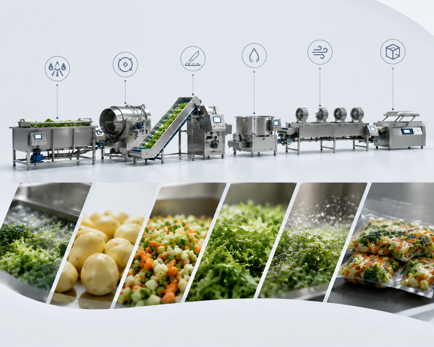 Vegetable Processing Line