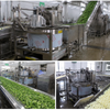 Automatic Bottom Discharge Centrifugal Dryer | Industrial Food Dewatering Machine