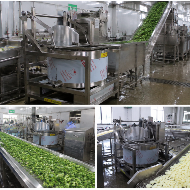 Automatic Bottom Discharge Centrifugal Dryer | Industrial Food Dewatering Machine