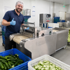 High Efficiency Stainless Steel Vegetable Cutting Machine for Commercial Kitchens Processing