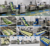 High Efficiency Carcass Splitting Saw Machine for OEM Supported