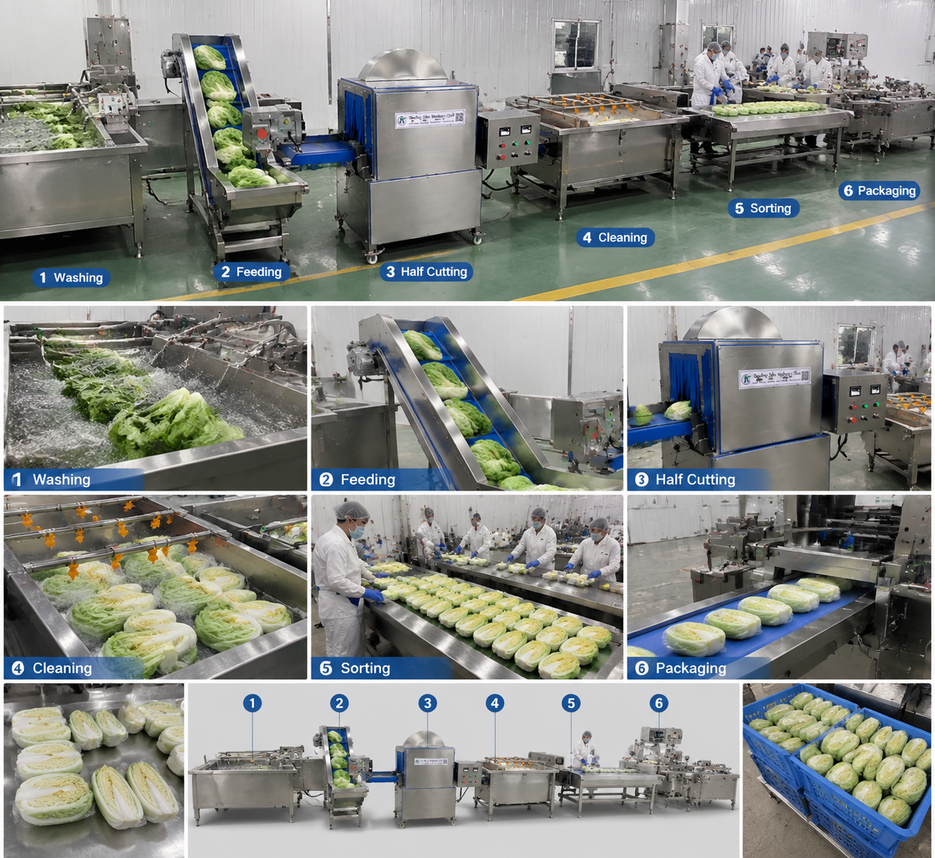 High Efficiency Carcass Splitting Saw Machine for OEM Supported