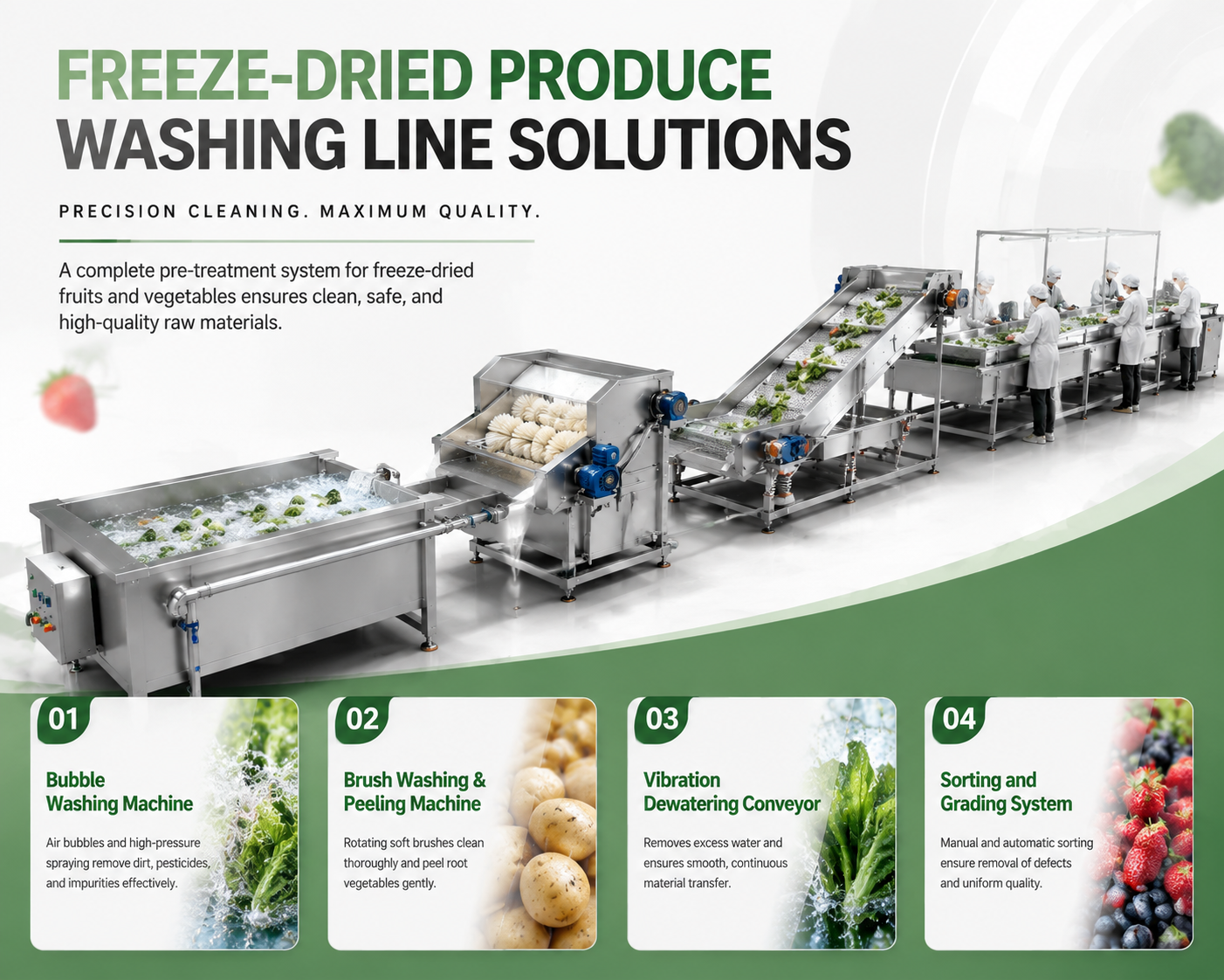 Freeze Dried Produce Preprocessing Washing Line