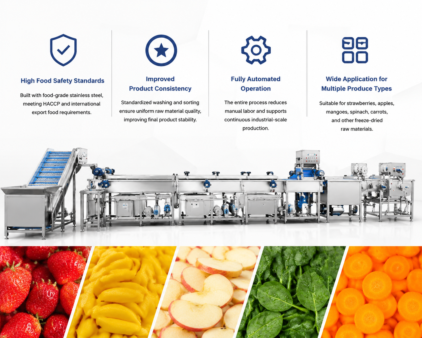 Freeze Dried Produce Preprocessing Washing Line