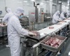High Precision Slideway Bone Saw Machine for Adjustable Thickness Meat Bone Cutter Butcher Shop