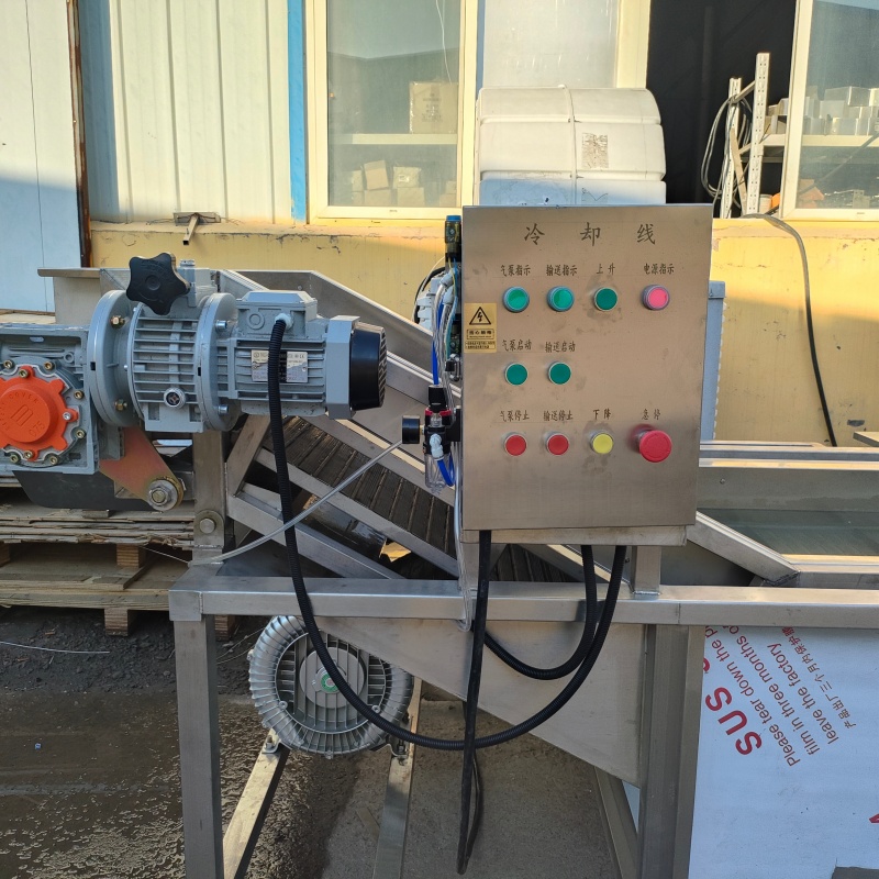 Automatic Closed Conveyor Air Cooling Line | Industrial Cooked Food Rapid Cooling Machine