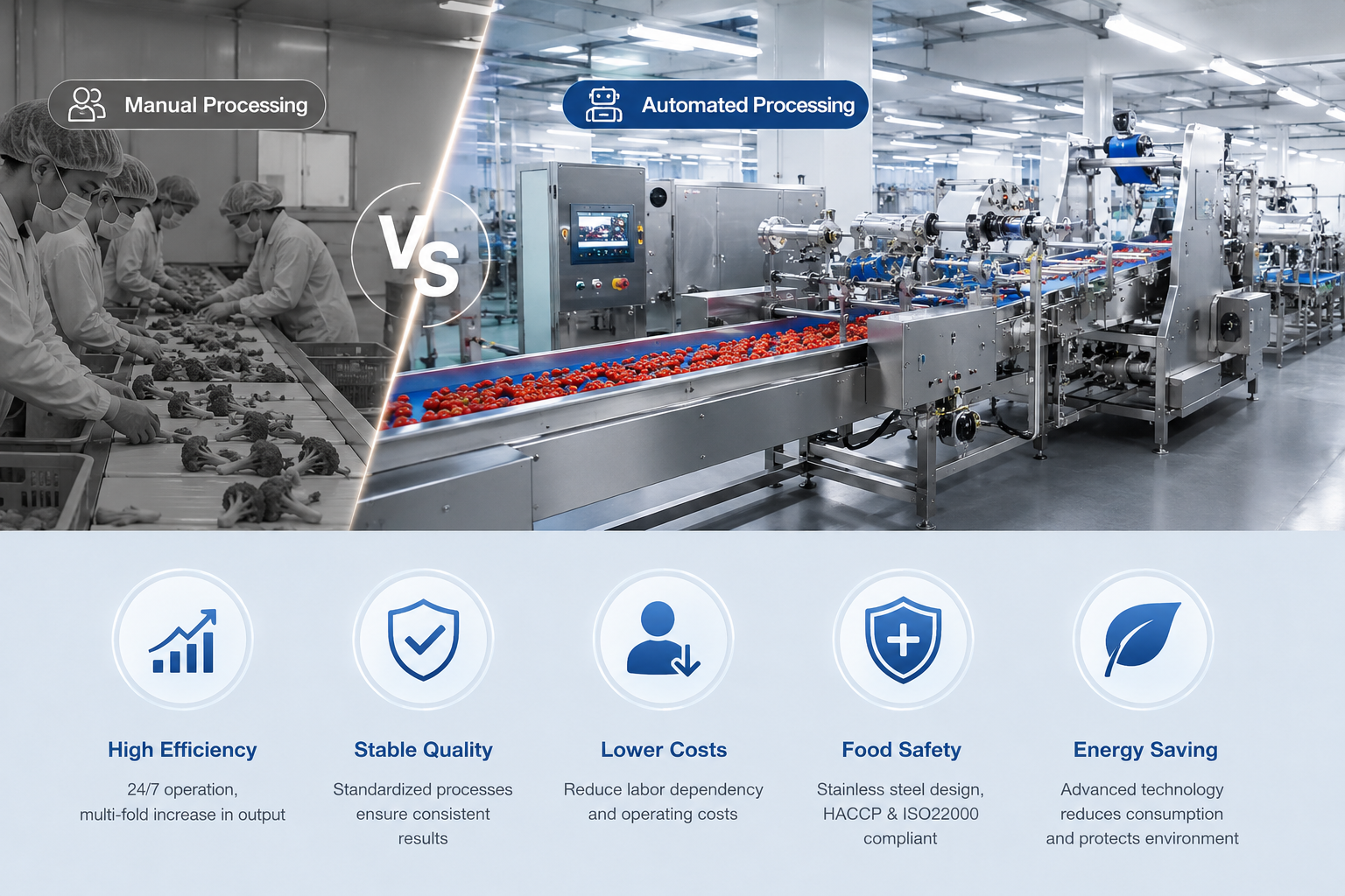 Vegetable processing equipment