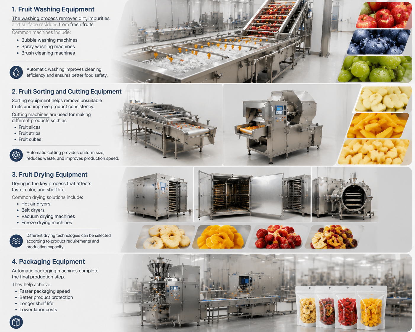dried fruit processing line