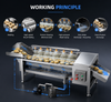 Industrial Brush Roller Washing Machine for Efficient Vegetable Cleaning Solutions