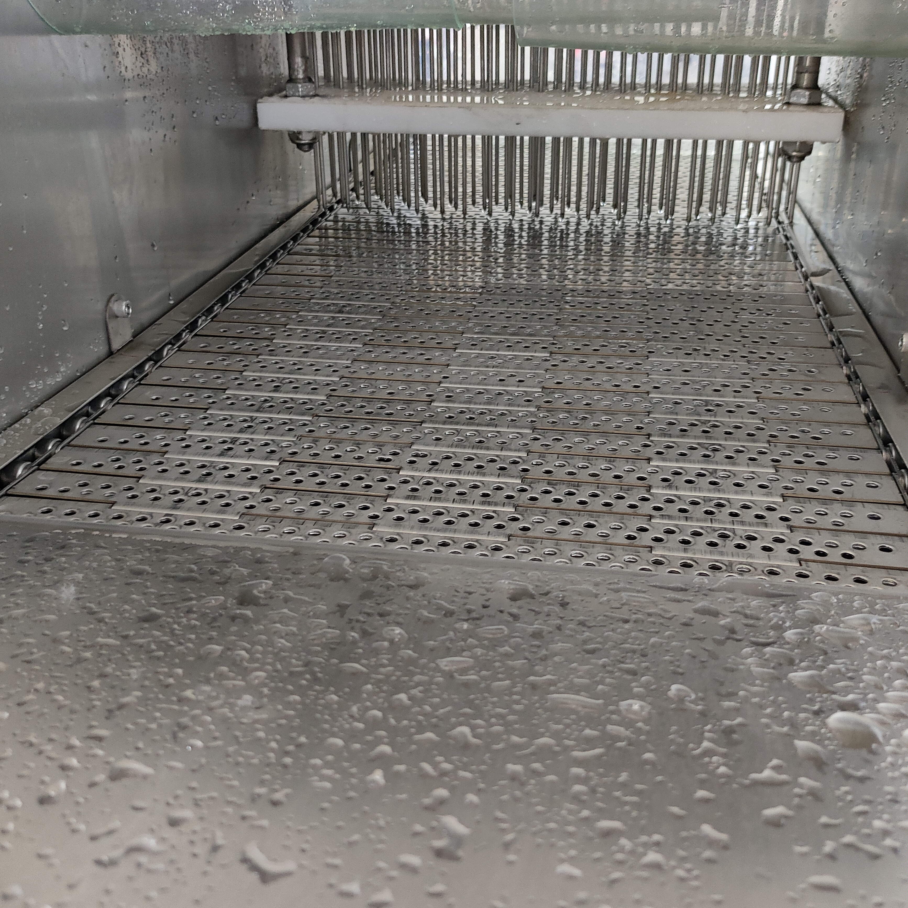 Pork Brine Injection Machine.jpg