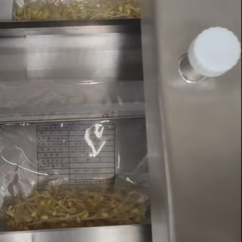 Multi-Functional Inclined Vacuum Packaging Machine for Meat, Pickles & Food Processing Industrial Use