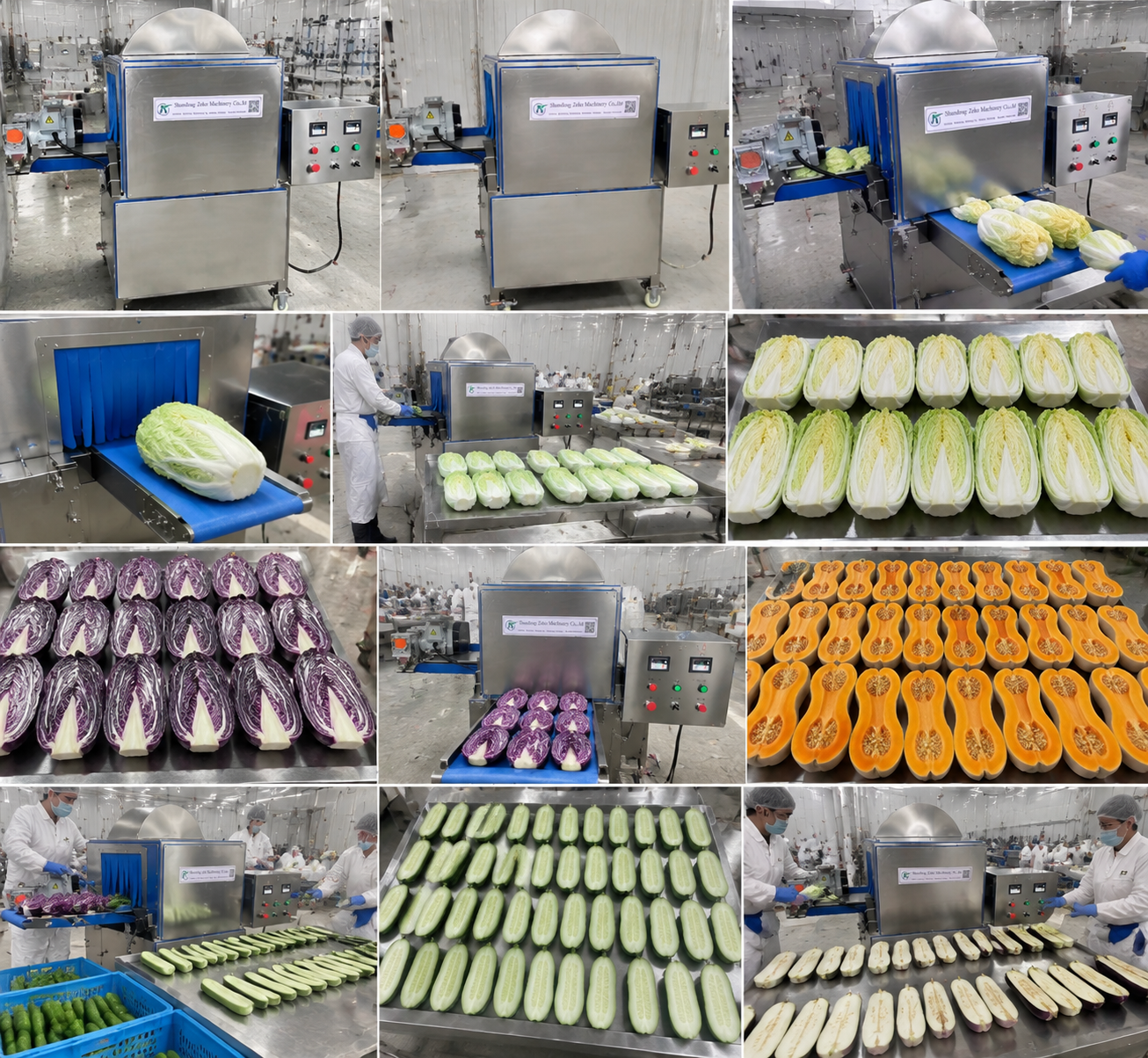 High Efficiency Carcass Splitting Saw Machine for OEM Supported