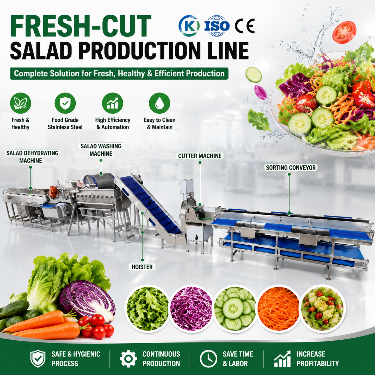 Commercial Vegetable Processing Equipment: A Complete Buyer’s Guide