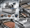 Automatic Skewer Machine for Meat Processing and BBQ Production