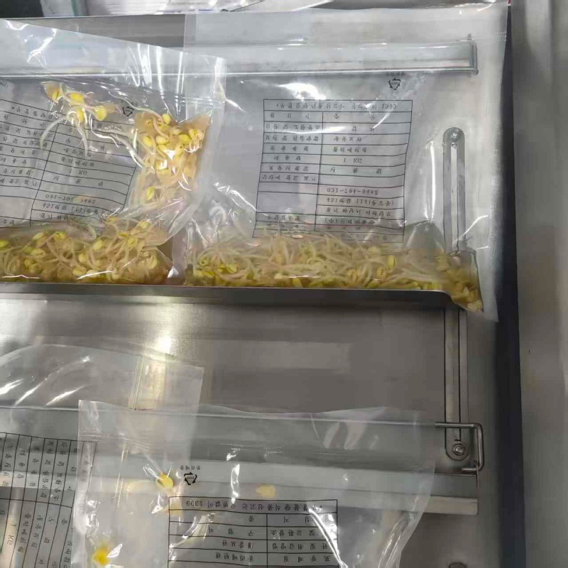 Multi-Functional Inclined Vacuum Packaging Machine for Meat, Pickles & Food Processing Industrial Use
