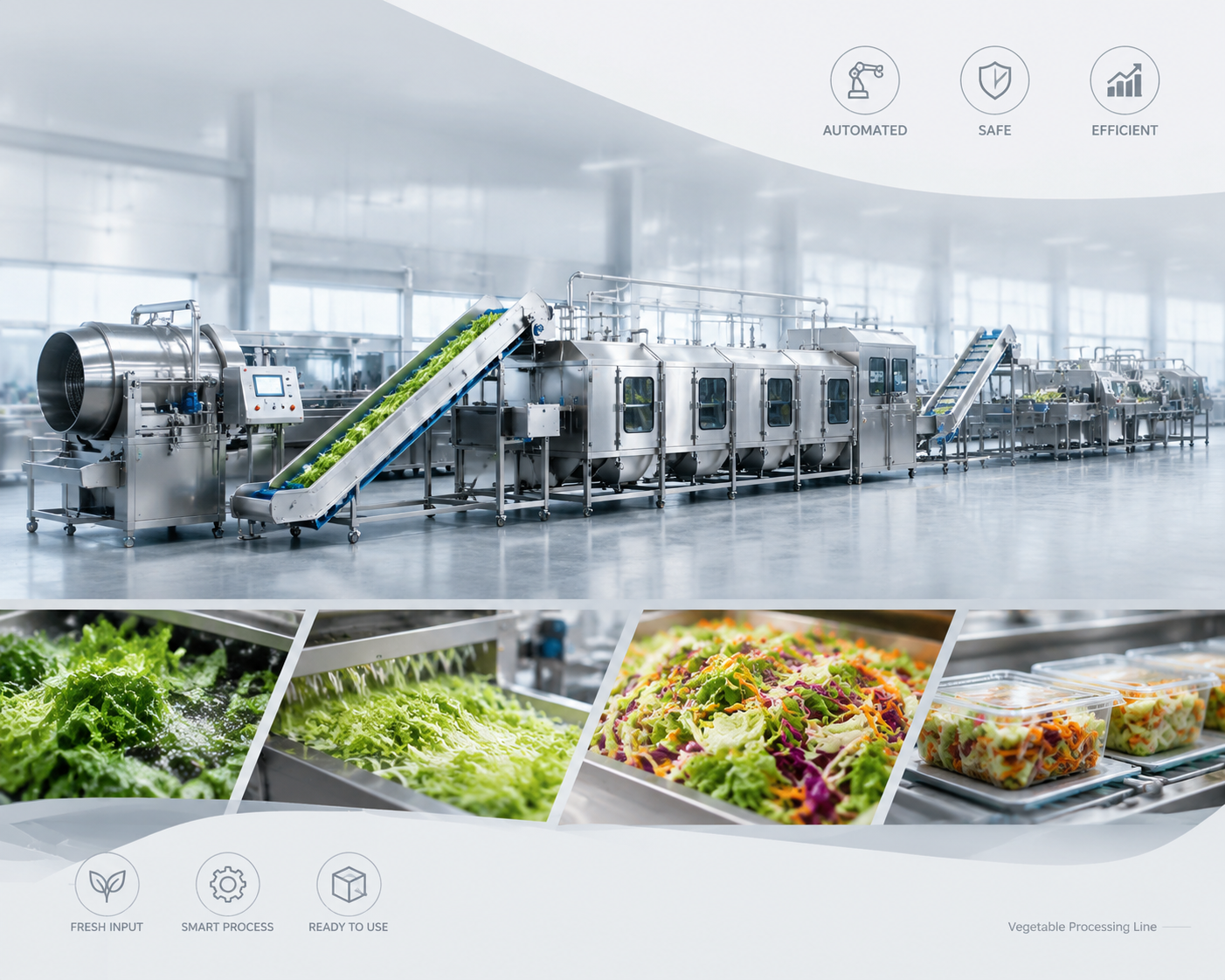 Vegetable Processing Line