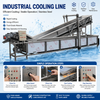 Automatic Closed Conveyor Air Cooling Line | Industrial Cooked Food Rapid Cooling Machine