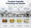 Industrial Brush Roller Washing Machine for Efficient Vegetable Cleaning Solutions