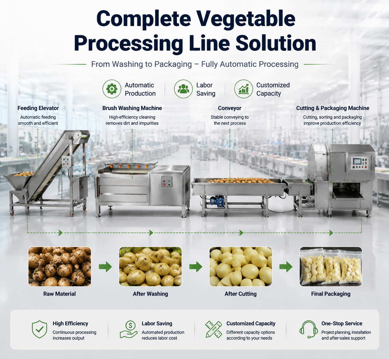 Industrial Brush Roller Washing Machine for Efficient Vegetable Cleaning Solutions