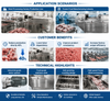 Industrial Frozen Meat Crusher for Beef Pork Processing Line