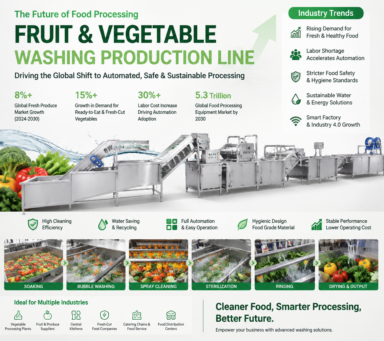 Automatic Fruit & Vegetable Washing Production Line