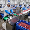 Meat Slicer for Food Processing Factory