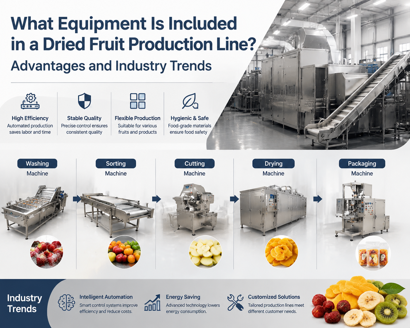 What Equipment Is Included in a Dried Fruit Production Line? Advantages and Industry Trends
