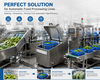 Industrial Basket Rotary Drying Machine for Efficient Food Dehydration System