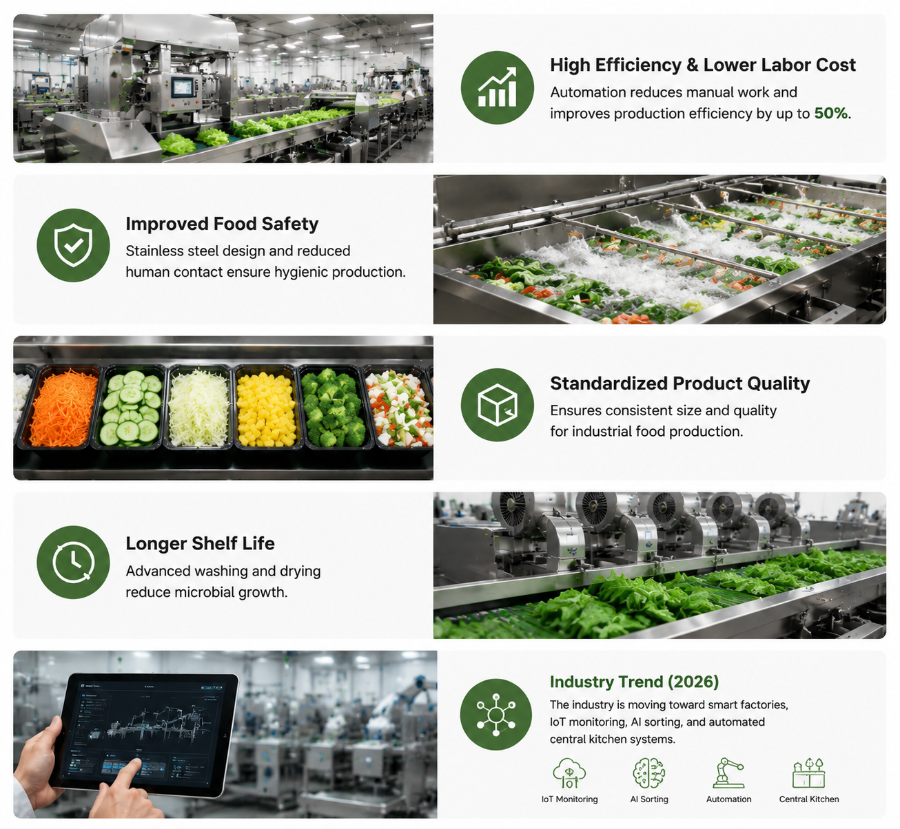 Pre-cut Vegetable Processing Line