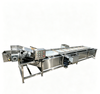 Industrial Bubble Vegetable Washing Machine Fruit Cleaning System Equipment