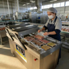 Industrial Vacuum Packaging Machine for Food and Commercial Packaging