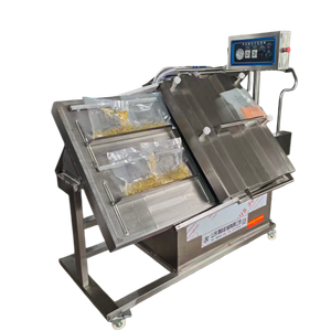 Multi-Functional Inclined Vacuum Packaging Machine for Meat, Pickles & Food Processing Industrial Use