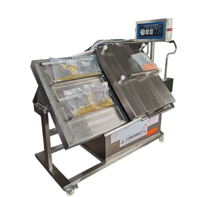 Multi-Functional Inclined Vacuum Packaging Machine for Meat, Pickles & Food Processing Industrial Use
