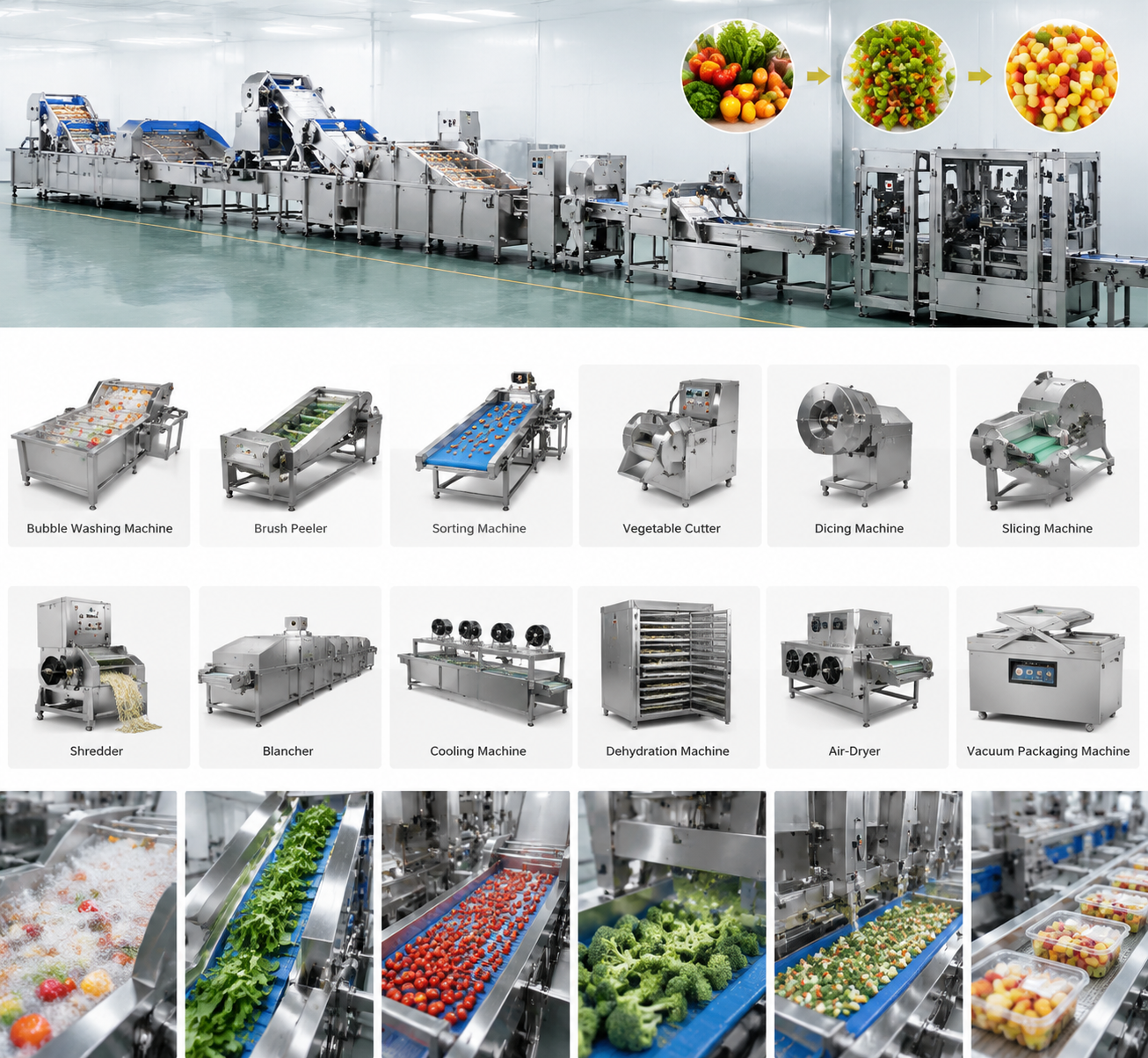 Vegetable processing equipment